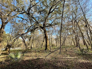 560 SW Santa fe Dr, Fort White, FL 32038 - photo 6