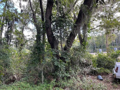 1018 Martin Luther King Rd, Pawleys Island, SC 29585 - photo 3