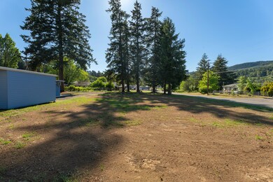 0 Anne St unit Lot 1 220196575, Yoncalla, OR 97499 - photo 4
