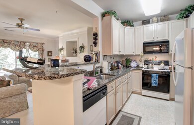 11306 Westbrook Mill Ln unit 203, Fairfax, VA 22030 - photo 2