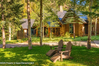 800 S Hayden Rd, Aspen, CO 81611 - photo 4