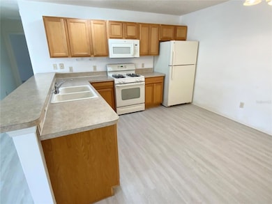 317 Rowesville Ln, The Villages, FL 32162 - photo 6