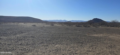 TBD 40 Acres Tyree Rd unit 118, Pearce, AZ 85625 - photo 4