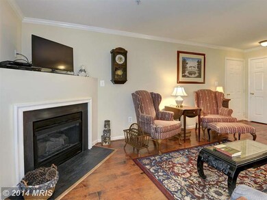 2155 Scotts Crossing Ct unit 1, Annapolis, MD 21401 - photo 6