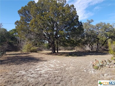 0000 County Road 4820, Kempner, TX 76539 - photo 6