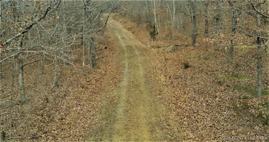 0 Tim Rd unit 3581161, Edwards, MO 65326 - photo 7