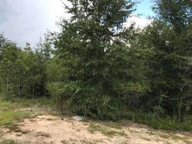 Lot View