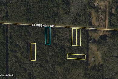 00 Tj Mitchell Rd, Bonifay, FL 32425 - photo 2