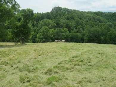 1354 Birdie Rd, Lawrenceburg, KY 40342 - photo 7