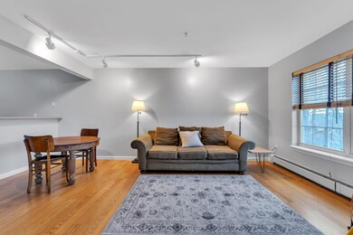 311 Hildred Dr, Burlington, VT 05401 - photo 4