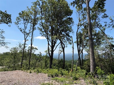 Lot 50 Mountain Grove Ln unit 50, Fletcher, NC 28732 - photo 4
