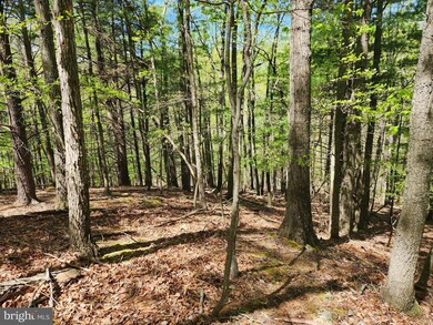 LOT 16-A Lost River Mountain Wits End, Mathias, WV 26812 - photo 4