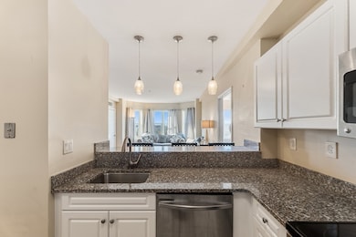 1 Cityview Ln unit 709, Quincy, MA 02169 - photo 7