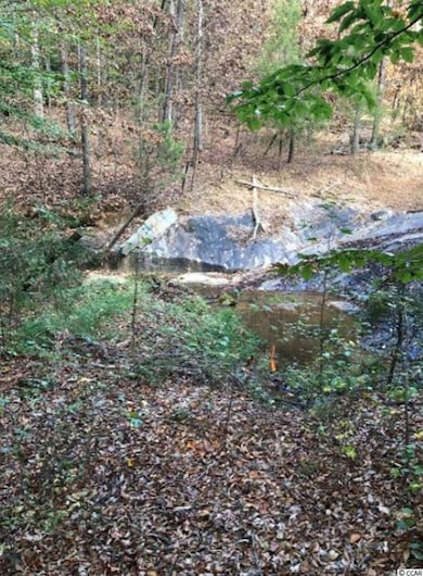 0 Abner Creek Rd unit 2116714, Greer, SC 29651 - photo 5