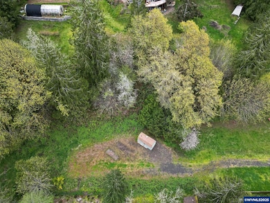 0 Lot Pioneer St unit 835915, Tidewater, OR 97330 - photo 6