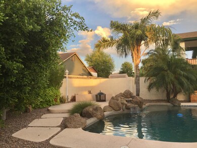 Gibson Backyard