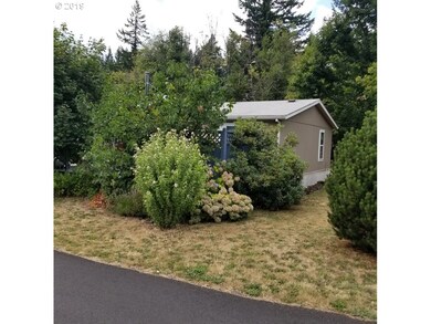 23 SW Ruckel St, Cascade Locks, OR 97014 - photo 5