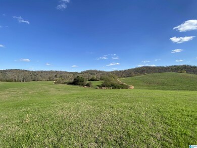 6555 Highway 174, Springville, AL 35146 - photo 6