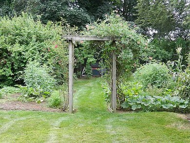 Yard/Garden.