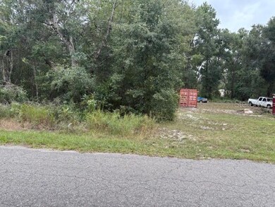 unlisted-address, Ocklawaha, FL 32179 - photo 2