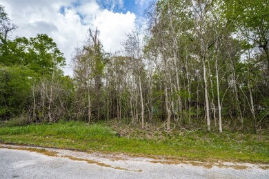 0 County Road 4322 Holly St, Dayton, TX 77535 - photo 2