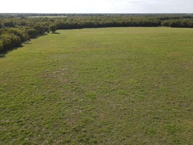 1440 County Road 2100, Cooper, TX 75432 - photo 6