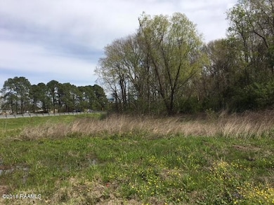 238 N Bud St, Lafayette, LA 70593 - photo 5