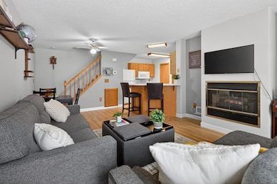 4065 Wilshire Cir unit 8, Saint Paul, MN 55126 - photo 5