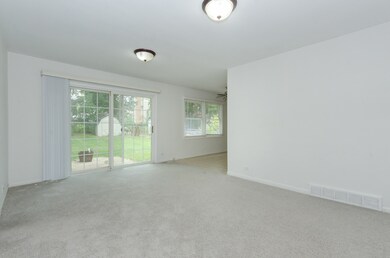 1413 Swallow St, Naperville, IL 60565 - photo 6