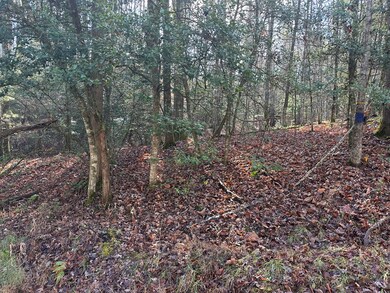 TBD Dickey Rd, Murphy, NC 28906 - photo 7