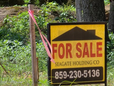 4 Cave Creek Rd, Falls of Rough, KY 40119 - photo 4