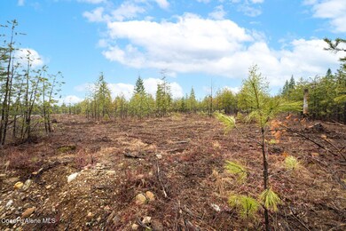 L5 B1 N Mountain View Rd, Rathdrum, ID 83858 - photo 4