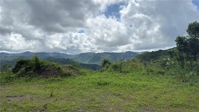 0 Bo Honduras unit MFRPR9117430, Cidra, PR 00739 - photo 5