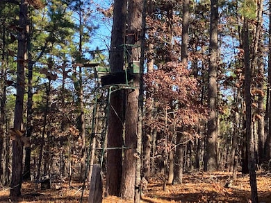 924 Quail Way, Elizabeth, AR 72531 - photo 5