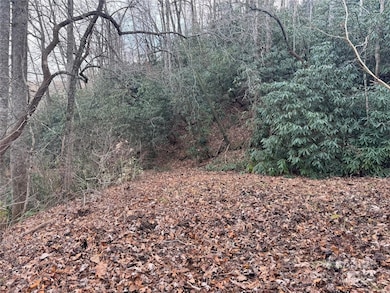 2664 N Carolina 9, Black Mountain, NC 28711 - photo 3