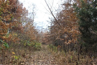IMG_4756 (2)
