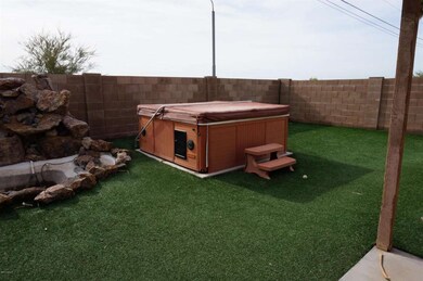 back yard 1