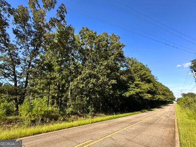 0 High Falls Rd unit 10592774, Jackson, GA 30233 - photo 5