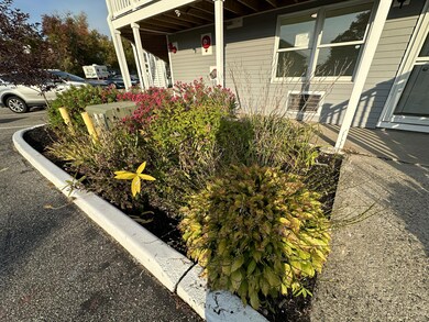 IMG_8790 2
