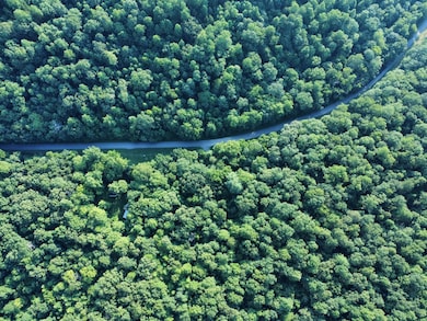 0 Baggett Hollow unit RTC3052017, Cunningham, TN 37052 - photo 7