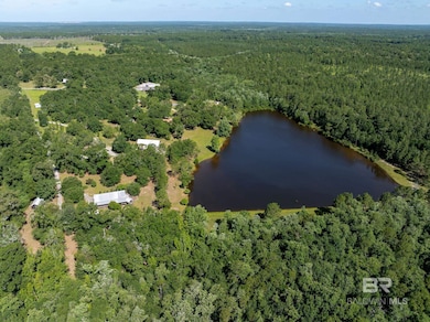 48248 Chastang Lake Rd, Bay Minette, AL 36507 - photo 7