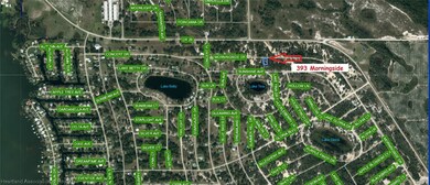 393 Morningside Dr, Lake Placid, FL 33852 - photo 4