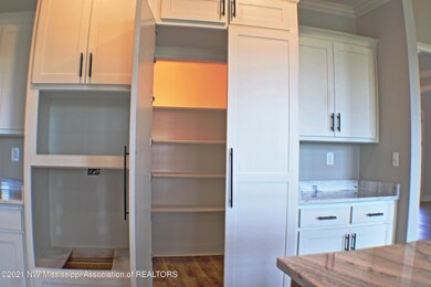 Hidden Pantry Open