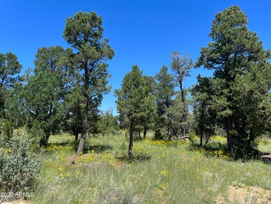 5209 Twin Oaks Property in August