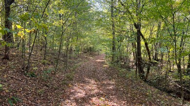 2938 Woods Prong Rd, Linden, TN 37096 - photo 7