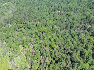 OFF Watersmeet Lake Rd unit Lot 2, Eagle River, WI 54521 - photo 4