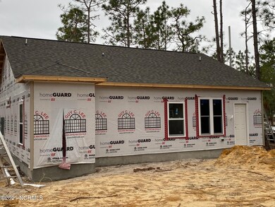 Back Deck Coming