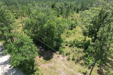 0 Mcgregor Rd unit 23667917, Grand Bay, AL 36541 - photo 6