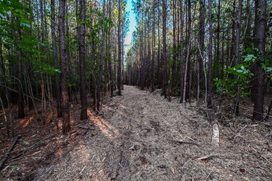 0 Brush Creek Rd unit 3, Hohenwald, TN 38462 - photo 4