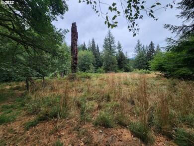 28310 NE Yacolt View Rd, Yacolt, WA 98675 - photo 2